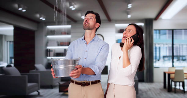 Best Water damage restoration services  in USA